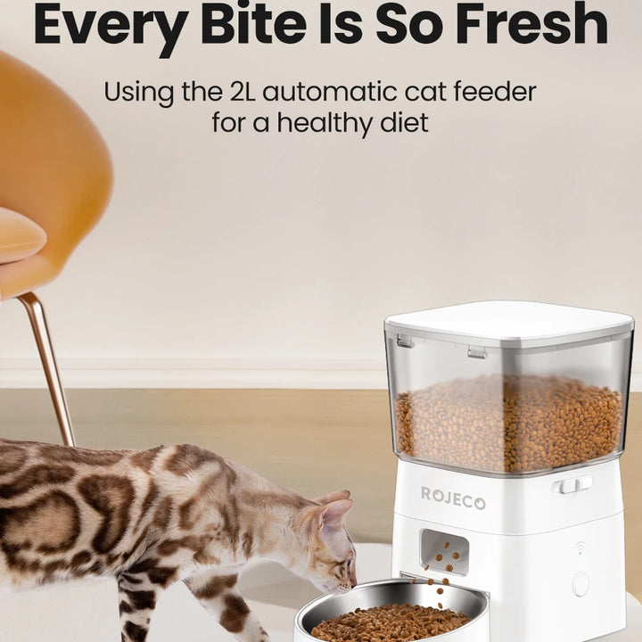 ROJECO Dog Feeder Automatic Smart Pet Food Dispenser for Pets Dog Kibble Dispenser With WIFI Remote Control Dog Feeding Supplies